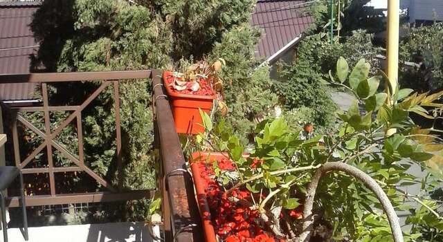 Гостиница Guest House Teremok Адлер-5